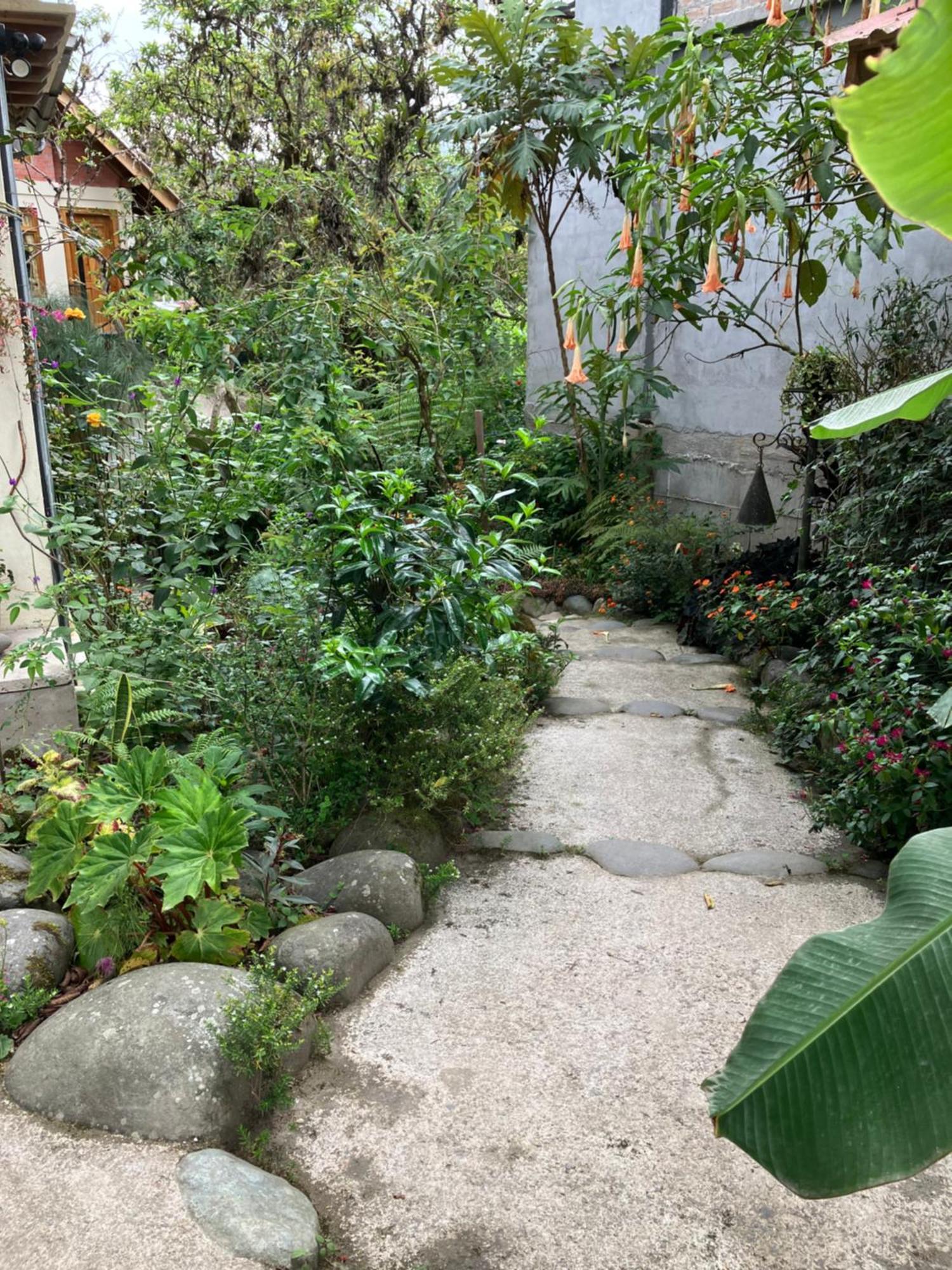 Casa Del Rio En Mindo Bed & Breakfast ภายนอก รูปภาพ