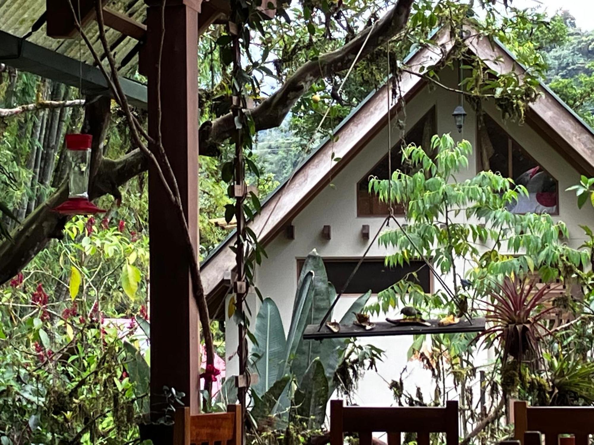 Casa Del Rio En Mindo Bed & Breakfast ภายนอก รูปภาพ