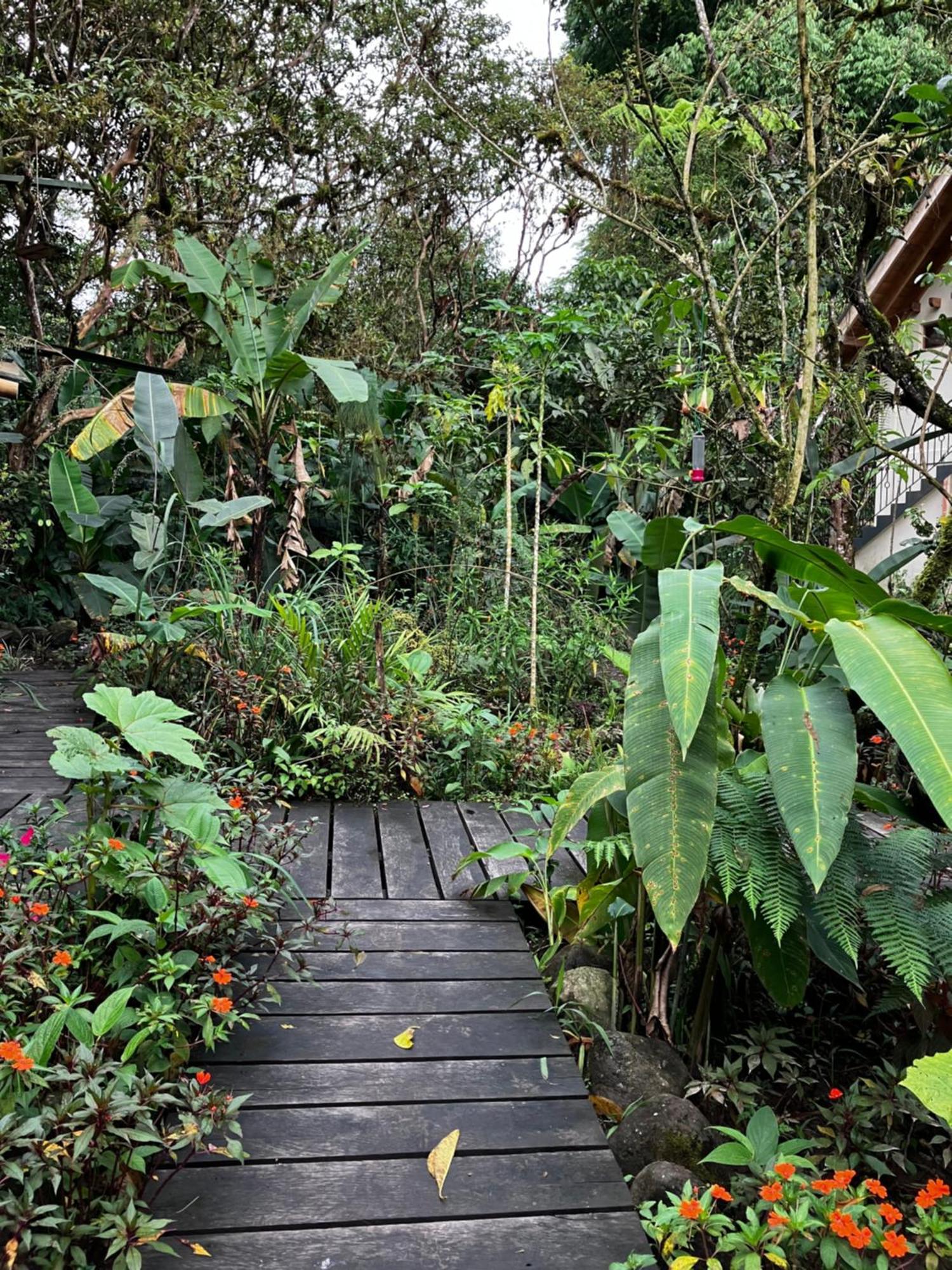 Casa Del Rio En Mindo Bed & Breakfast ภายนอก รูปภาพ