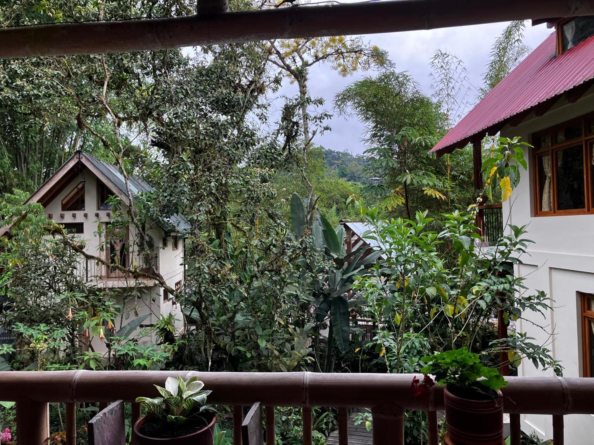 Casa Del Rio En Mindo Bed & Breakfast ภายนอก รูปภาพ