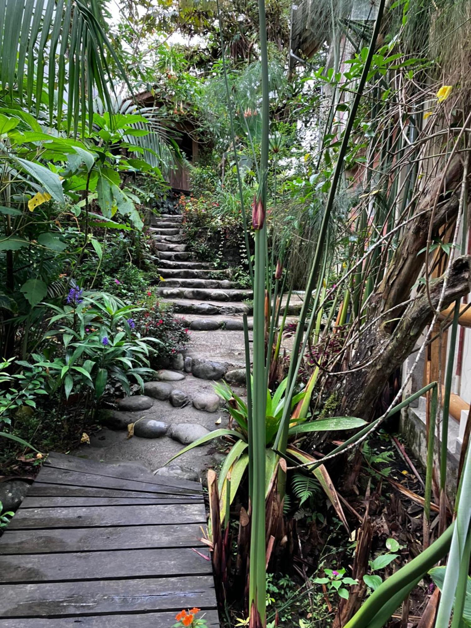 Casa Del Rio En Mindo Bed & Breakfast ภายนอก รูปภาพ