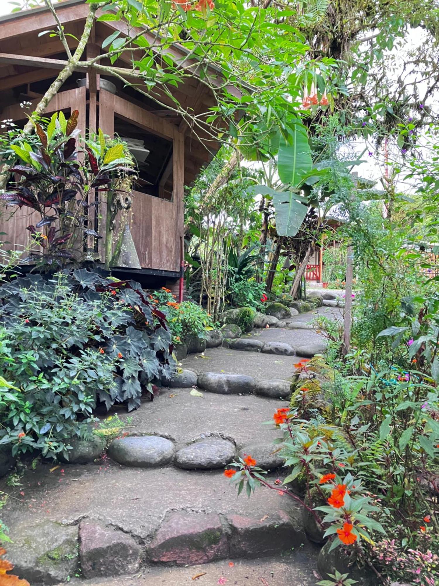 Casa Del Rio En Mindo Bed & Breakfast ภายนอก รูปภาพ