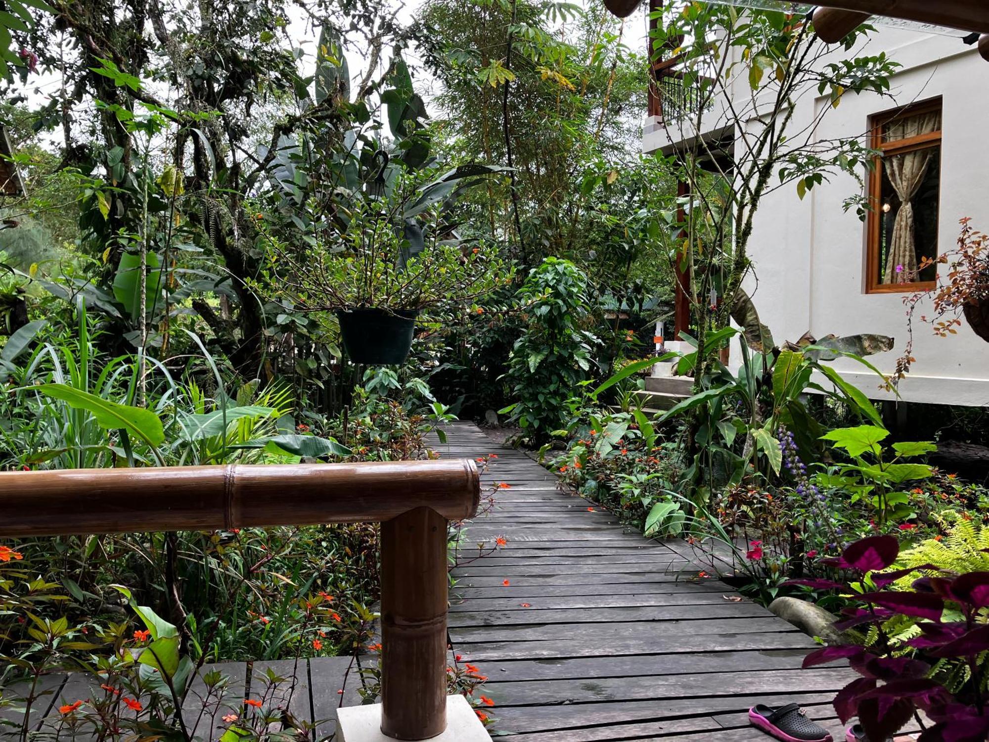 Casa Del Rio En Mindo Bed & Breakfast ภายนอก รูปภาพ