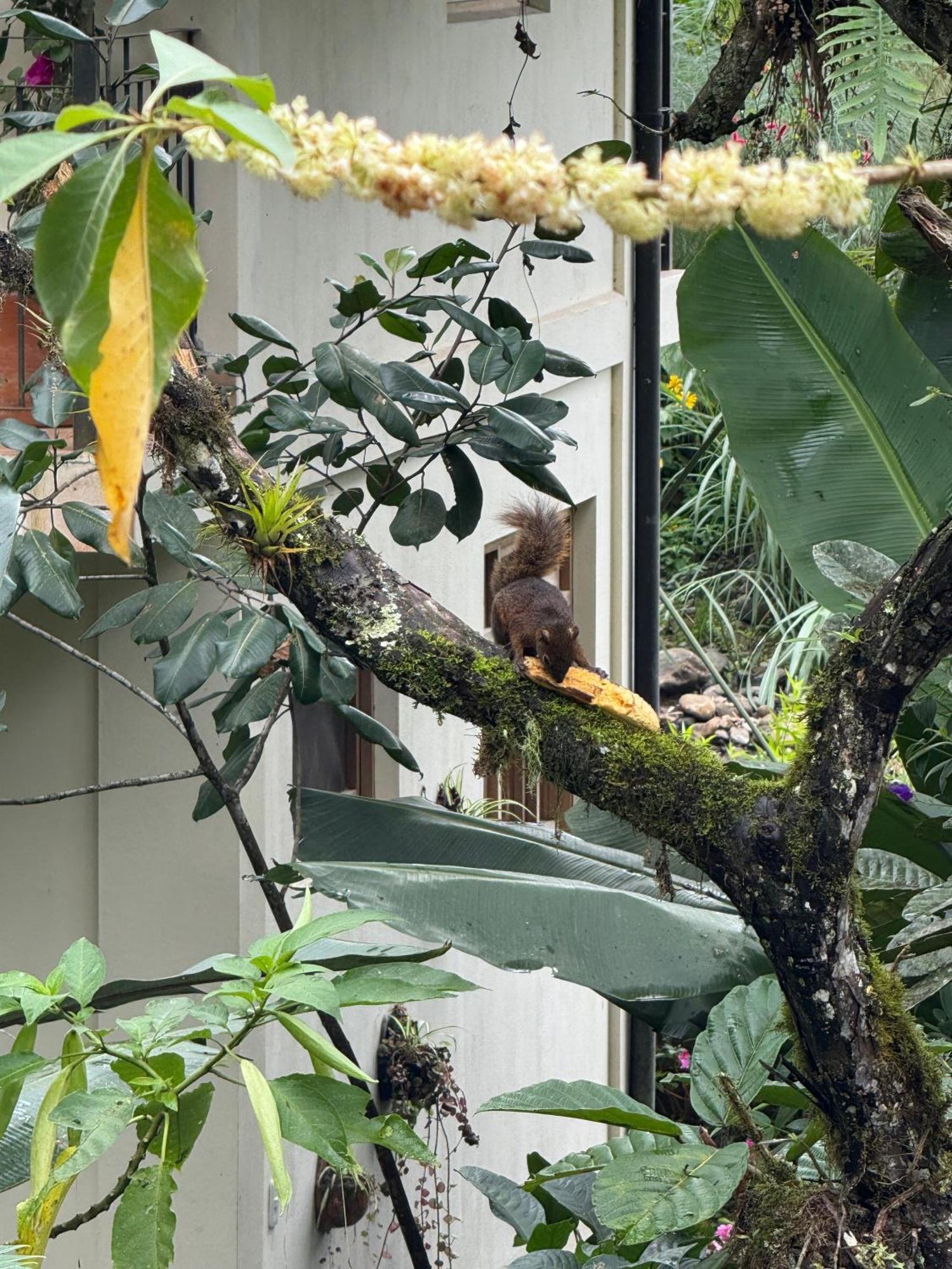Casa Del Rio En Mindo Bed & Breakfast ภายนอก รูปภาพ